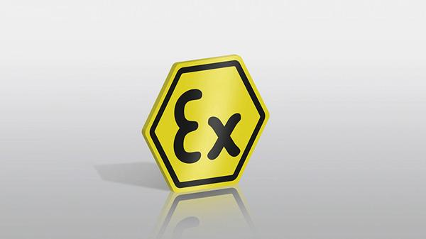 Ex protection